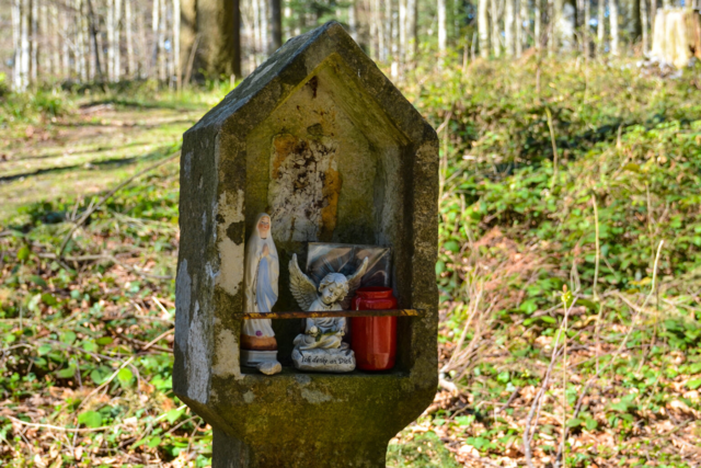 Geheimnisse im Wald: Kleindenkmale zwischen Wittnau und Bollschweil