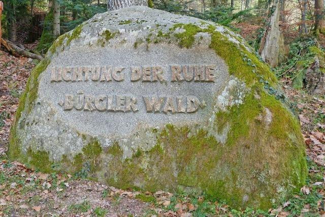 Mehrheit im Ballrechten-Dottinger Rat befrwortet Bestattungswald