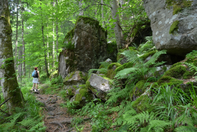 Die schnsten Wanderwege fr den 1. Mai in Sdbaden