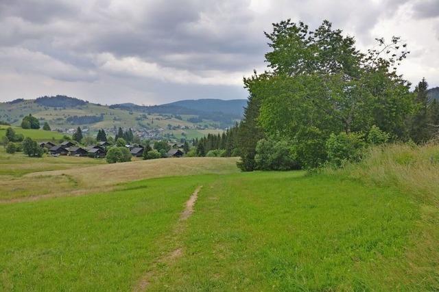 Bernau modernisiert Internetauftritte