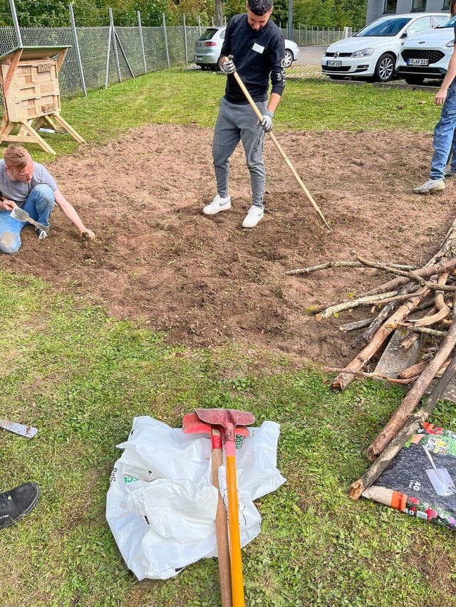 Bei der Firma Koch sind Azubis  in die... haben ein Insektenhotel eingerichtet.  | Foto: Firma Koch