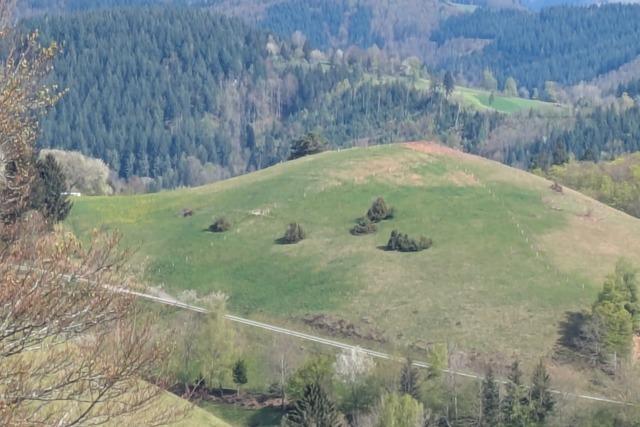 In Frhnd soll man sich bald auf einem Friedberg bestatten lassen knnen
