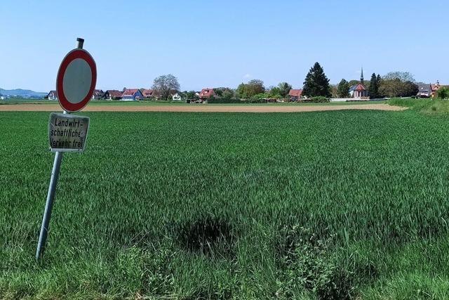 Klrschlamm-Verbrennungsanlage: Forchheimer Landwirte sorgen sich wegen mglicher giftiger Stoffe