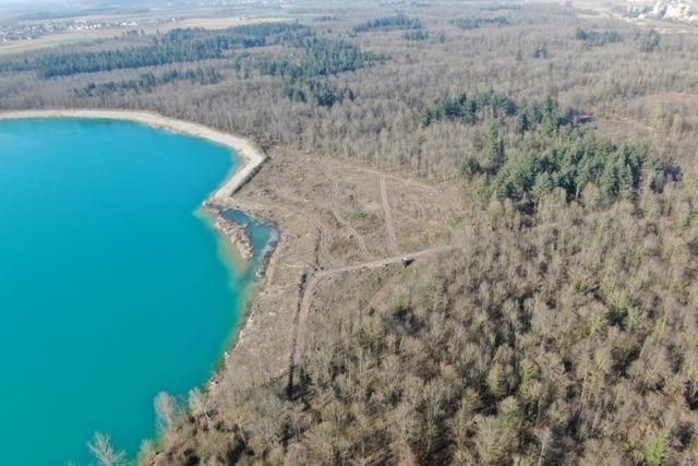 Badebereich am Baggersee in Breisach-Niederrimsingen wird etwas kleiner