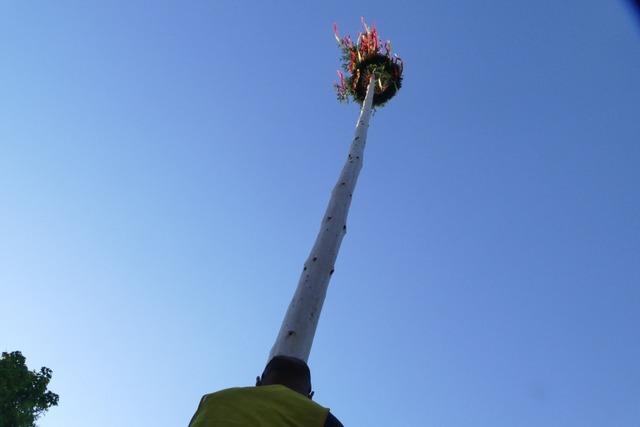 Das Maibaumstellen wird zum frhlichen Fest fr ganz Mrkt