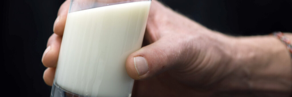 Warum Milch knapp und Butter dennoch billiger ist
