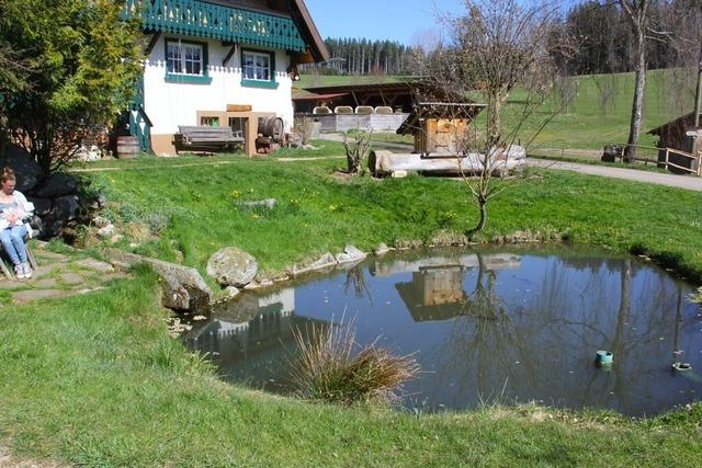 Die Donau beginnt ganz unscheinbar: Besuch an der Quelle der Brigach im Schwarzwald