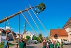 Maibaum-Aufstellen in Bonndorf