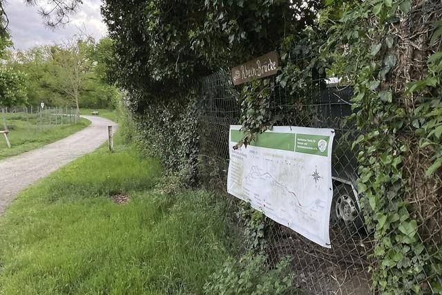Untersuchungen im Hartheimer Wald
