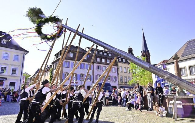 Auf dem Marktplatz stellten  die Zimme...22 Meter hohe Fichte  als Maibaum auf.  | Foto: Dieter Erggelet