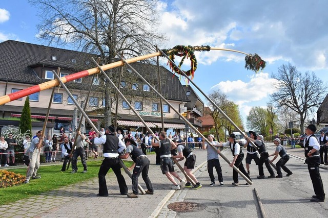 Maibaumstellen in Hinterzarten  | Foto: Thomas Biniossek