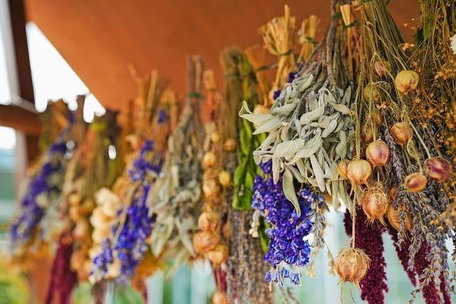 Natur- und Kruter Festival 