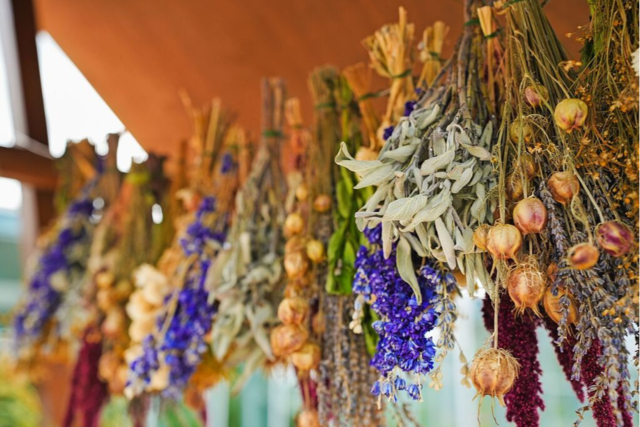 Natur- und Kruter Festival 