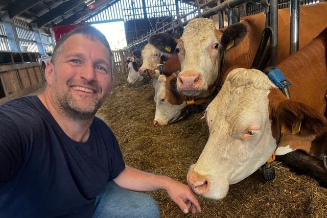 Landwirt aus Nonnenweier findet Rattengift im Futterfeld