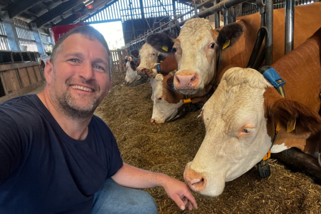Landwirt aus Nonnenweier findet Rattengift im Futterfeld