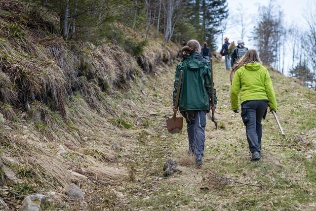 Freiwillige helfen bei Einstzen im Naturpark Sdschwarzwald
