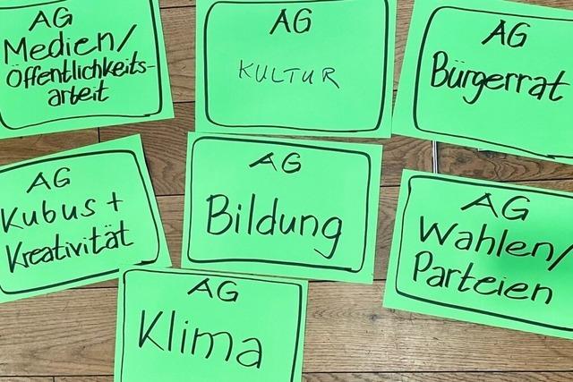 Das Lrracher Bndnis 5 vor 12 will mit einem Brgerrat die demokratische Beteiligung strken