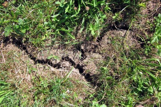 Die Trockenheit der vergangenen Monate belastet die Landwirte und den Rhein