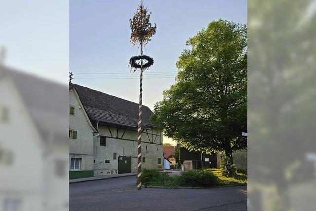 Maibaum auch in Wintersweiler