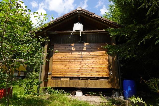 Doch kein Ruhestand fr Bienenfreund Willi Montsko