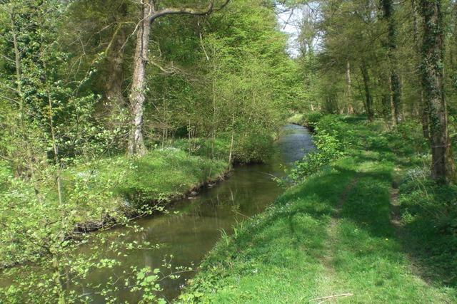 Mit dem Arbeitskreis Tourismus Neuried geht es im Mai ins Hanauerland