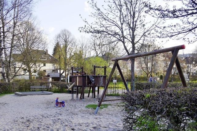 Kletterburg, Nestschaukel und Spielhtte