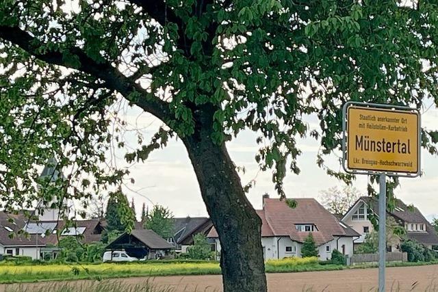 Im Markgrflerland gab es Maistreiche und ein Baum-Unglck