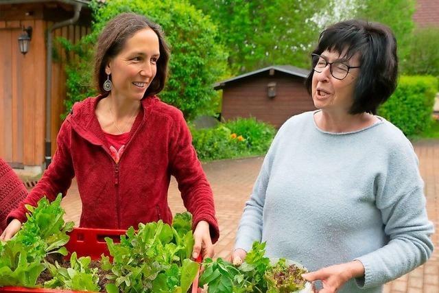 Tomaten als begehrte Bonndorfer Tauschobjekte
