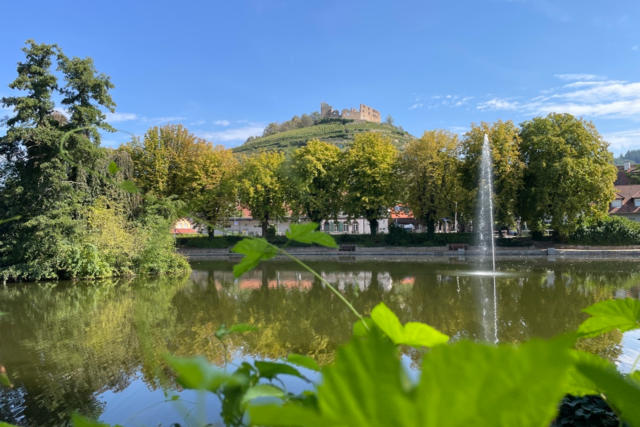 45-Jähriger ertrinkt im Staufener Stadtsee