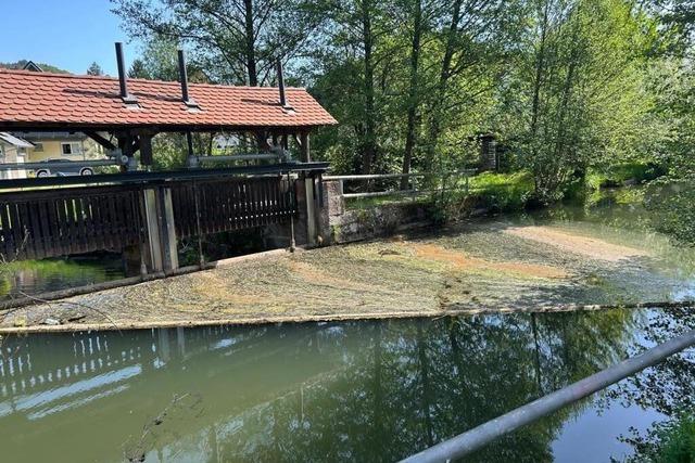 Feuerwehr pumpt mehrere hundert Liter Diesel aus der Schutter in Seelbach und Reichenbach