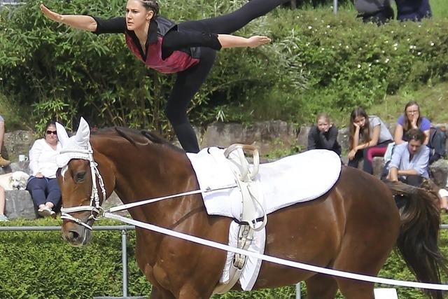 Der Reitverein Lrrach ldt am Sonntag, 11. Mai, ab 10 Uhr auf sein Vereinsgelnde, Rheinfelderstrae 2 zum Tag des Pferdes ein.