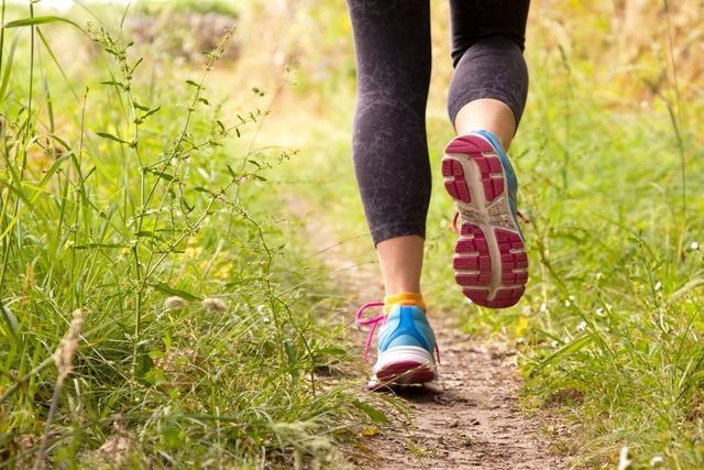 Joggerin tritt Hund – und rennt dann im Freiburger Mooswald weg