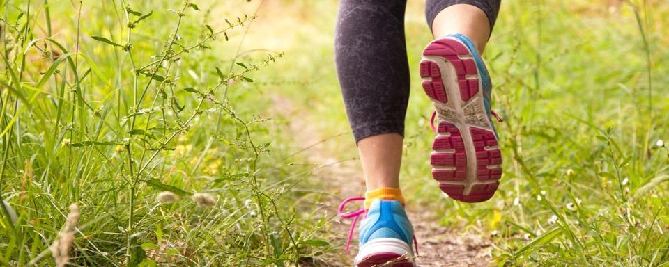 Joggerin tritt Hund – und rennt dann im Freiburger Mooswald weg