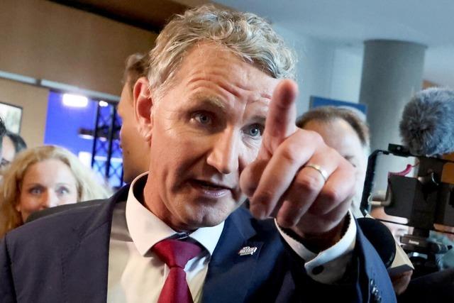 Ein AfD-Verbot wre ein hochriskantes Unterfangen