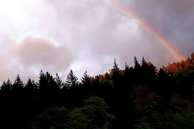 Viel Sonne und wenig Regen – so zeigte sich der April auch in Freiburg