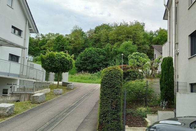 Warum will Endingens Gemeinderat ein Mehrfamilienhaus am Ortsrand verhindern?