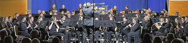 Etwa 70 Musikerinnen und Musiker hatte...g von Dirigent Fabian Grabert vereint.  | Foto: Trachtenkapelle Hartheim