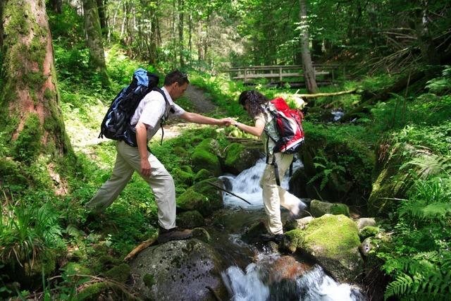 Tourismus-Trend in Wehr: Mehr bernachtungen, weniger Gste