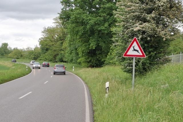 Anwohner der Bettinger Strae in Grenzach-Wyhlen fordern Warnschilder vor Wildwechsel