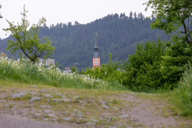 Verletzte Frau in Waldkirch war laut Polizei wohl kein Opfer einer Straftat