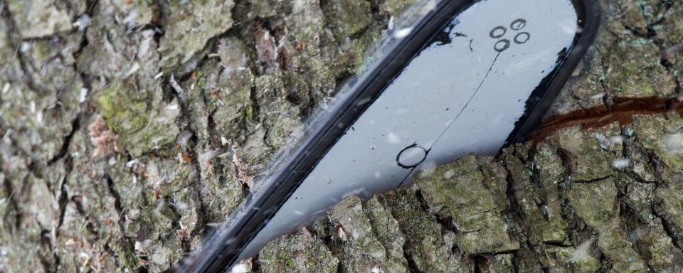 Unbekannte haben in Freiburg einen Baum gefllt und in den Gewerbekanal geworfen