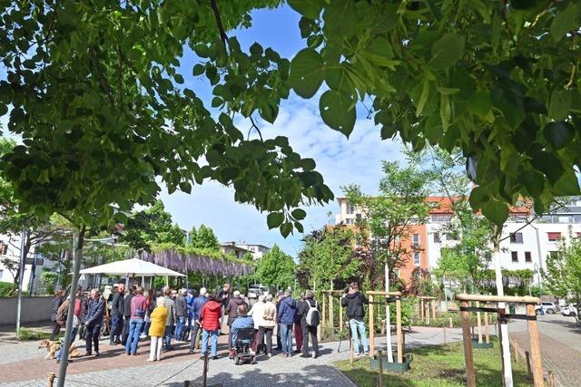 Die Stadt Freiburg hat einen ehemaligen Hitze-Hotspot zu einem schattigen Platz umgestaltet Die Stadt Freiburg hat einen ehemaligen Hitze-Hotspot zu einem schattigen Platz umgestaltet