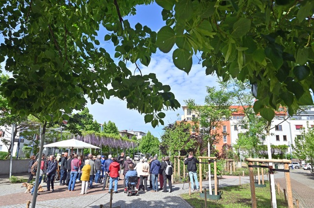 Auch an heißen Tagen soll der Mathilde-Otto-Platz nun schattige Erholung bieten. | Foto: Michael Bamberger Auch an heißen Tagen soll der Mathilde-Otto-Platz nun schattige Erholung bieten. | Foto: Michael Bamberger