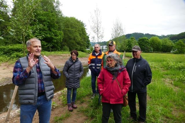 Die Kleine Wiese ist jetzt wertvoller fr Pflanzen und Fische – Hochwasserschutz bleibt verbesserungsbedrftig