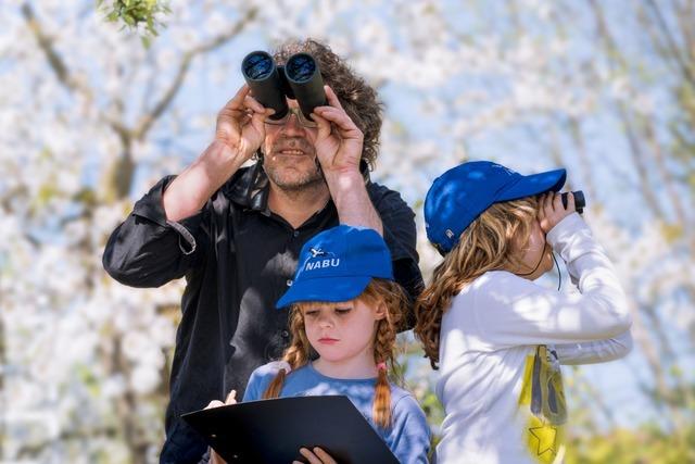 Am 9. Mai startet deutschlandweit die Mitmachaktion "Stunde der Gartenvgel"