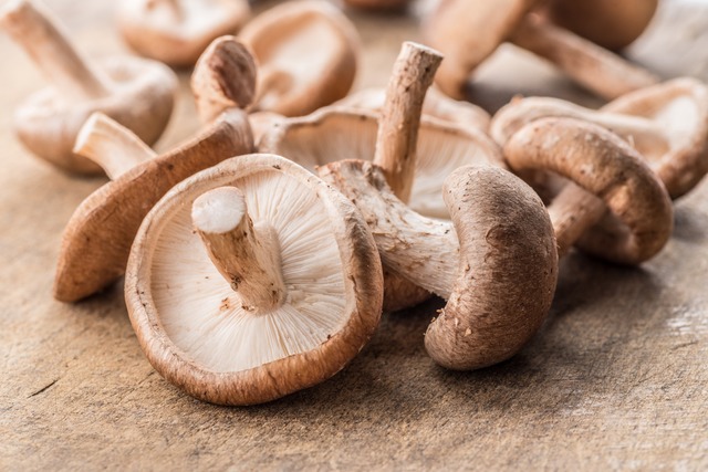Am 21. Mai veranstaltet die VHS eine V...beliebten Shiitake-Pilze gehören dazu. | Foto: Valentyn Volkov Am 21. Mai veranstaltet die VHS eine V...beliebten Shiitake-Pilze gehören dazu. | Foto: Valentyn Volkov