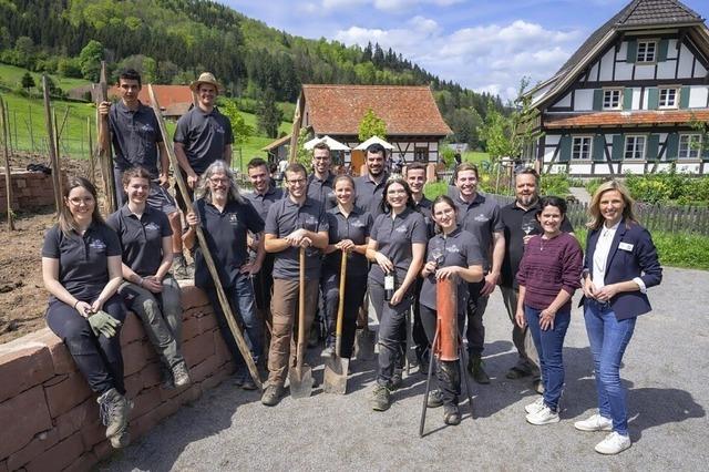 Im Freilichtmuseum wachsen jetzt Reben
