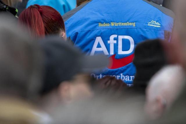 Grne in Baden-Wrttemberg fordern berprfung von Beamten mit AfD-Mitgliedschaft