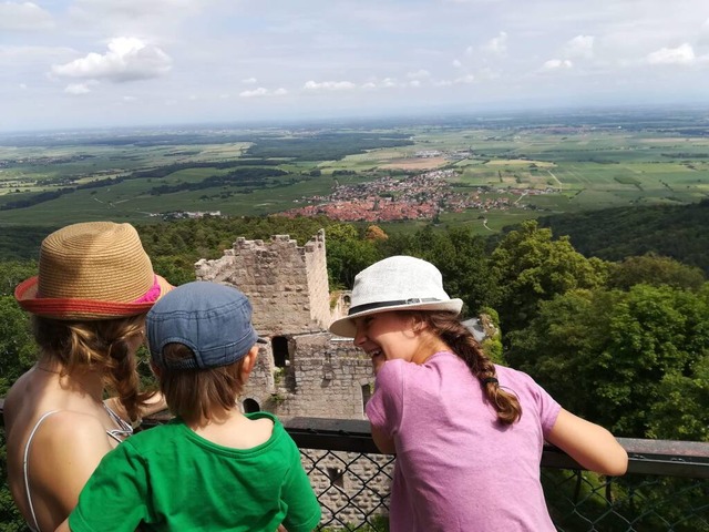 Ausblick vom Turm der Burg Bernstein | Foto: Silke Kohlmann Ausblick vom Turm der Burg Bernstein | Foto: Silke Kohlmann
