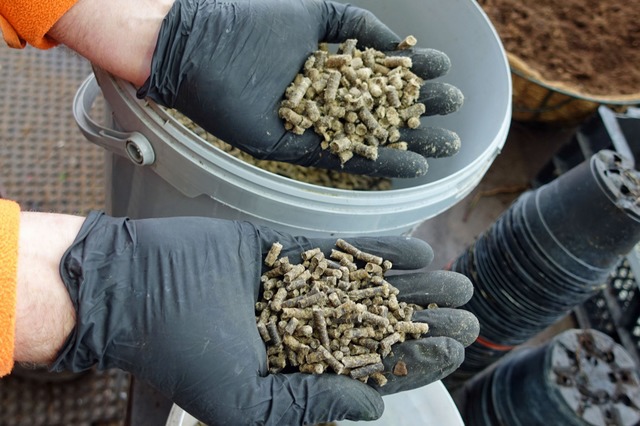 Die Pellets aus Schafwolle sind nährstoffreich und umweltfreundlich. | Foto: Stadt Rheinfelden Die Pellets aus Schafwolle sind nährstoffreich und umweltfreundlich. | Foto: Stadt Rheinfelden